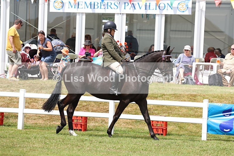 3E7A0785 - Class 8: Open Riding Horse/Hack