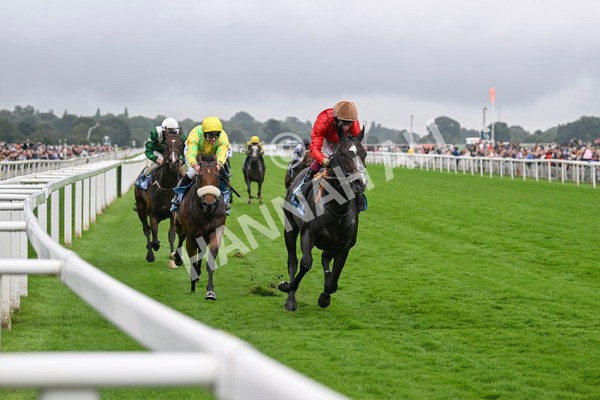 080924-Race 3-Brighton Boy-9057 - Race 3 2.50pm Irish Thoroughbred Marketing Nursery Handicap