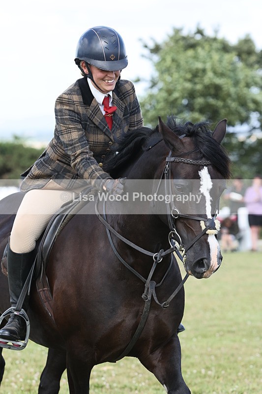 JPP_2365 - Class 19: Working Hunter 60cm