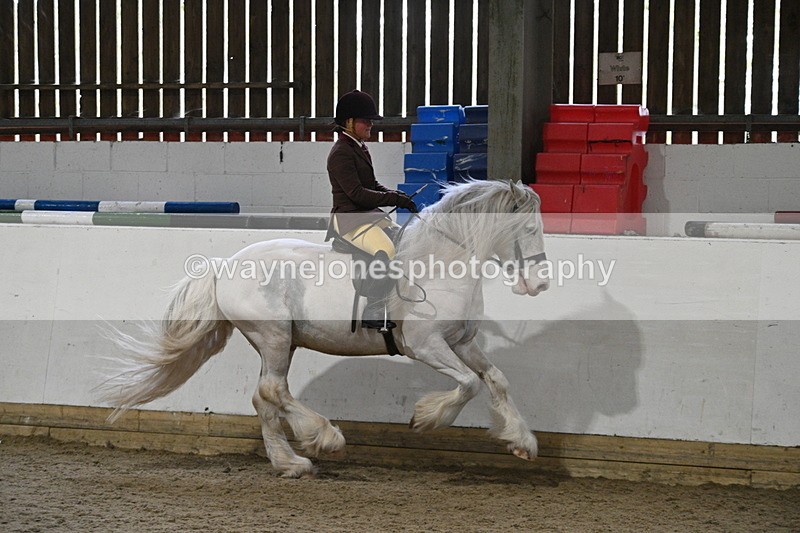 WJ7_4235 - Class 17 Ridden Cob