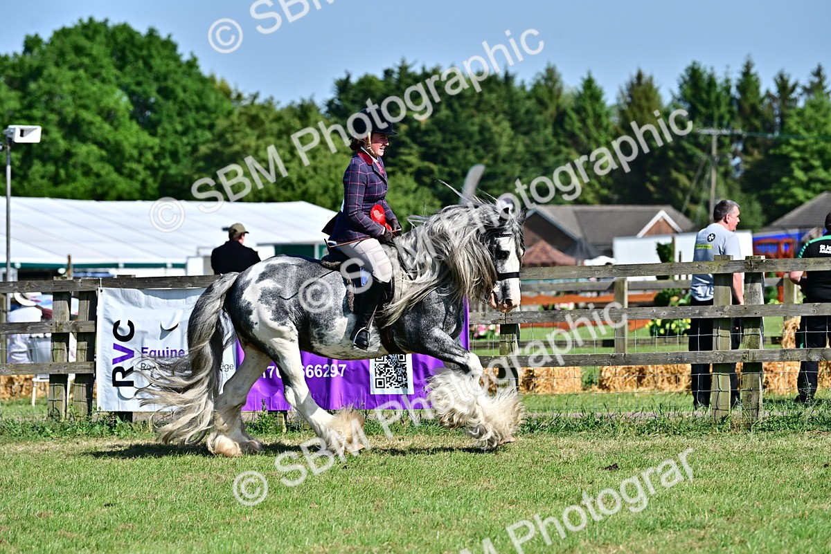 SBM_19466 - Class 101-102 - BSPS LIHS Performance Coloured Horse/Pony