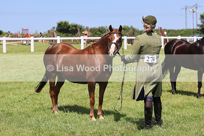 IMG_2716 - Class 39: Veteran In Hand