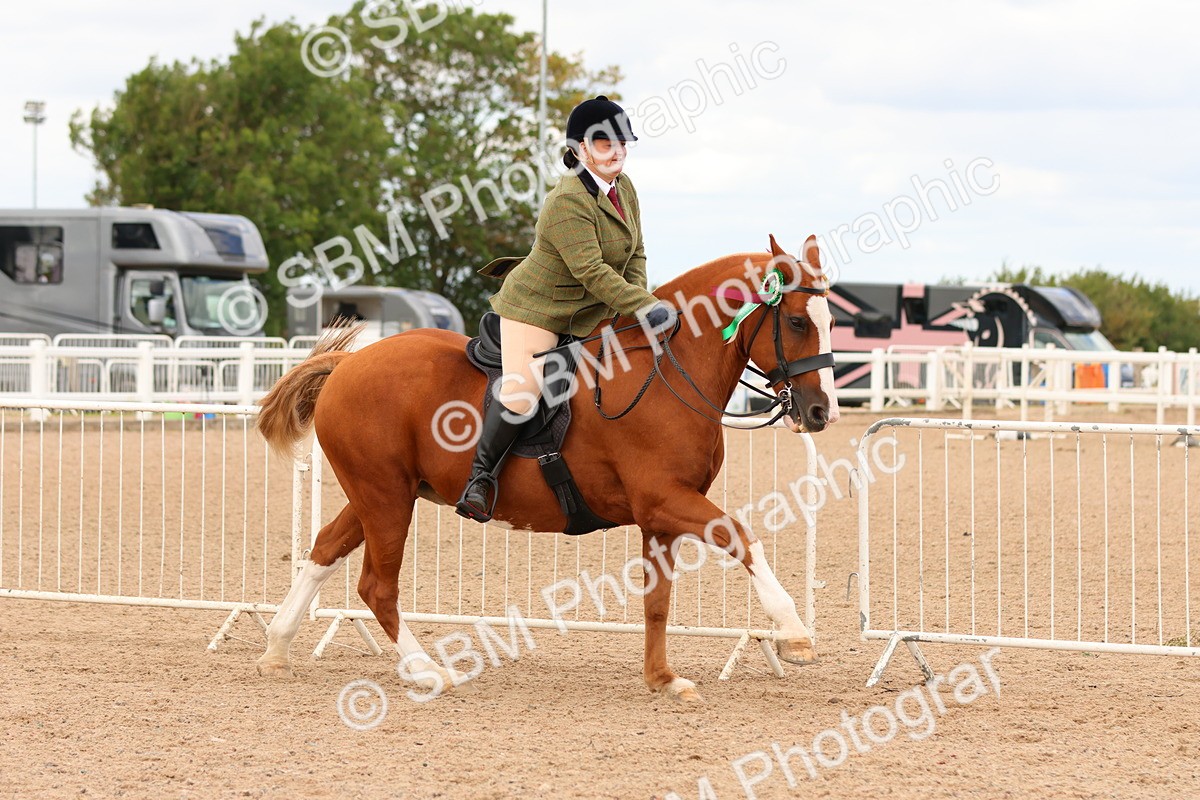 SBM_15627 - Class 214 - Ridden Show Cob
