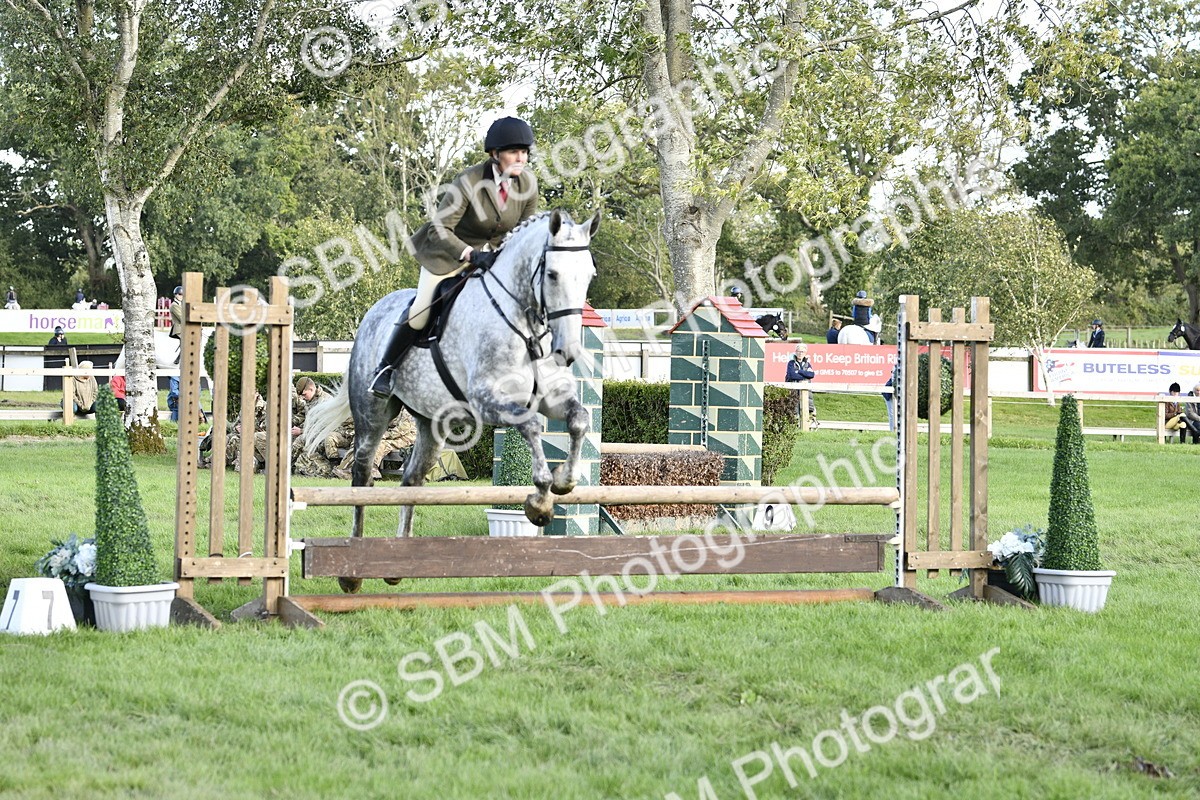 SBM_52167 - S35 - Working Hunter & Working Show Horse