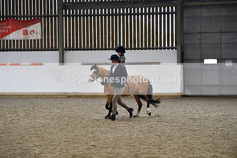 WJ5_6737 - Class 10 Childs Pony