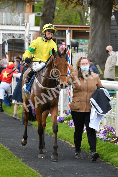 yr14052021r5-43 - Race 5 3.40pm The Jigsaw Sports Branding Handicap