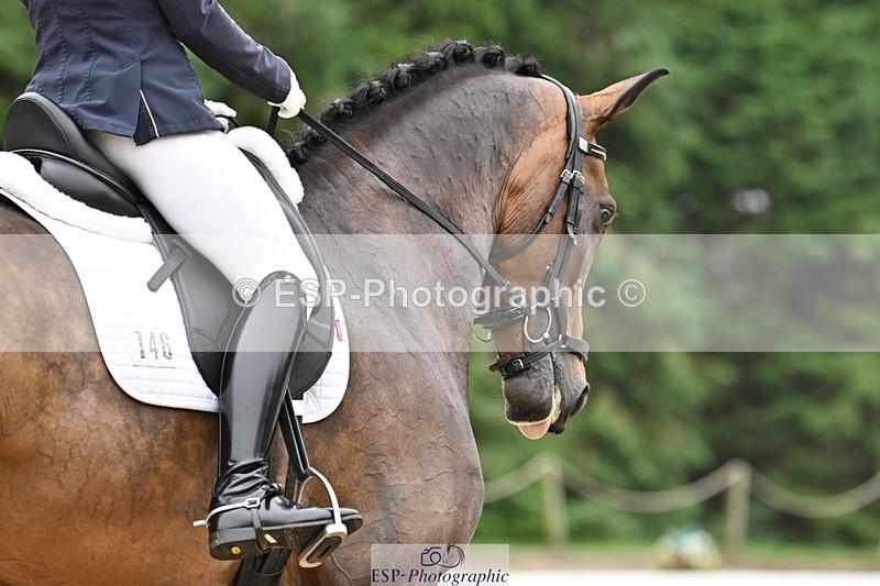 240811-112257-05159 - 146-Anna.Johannson-Kapellmeister