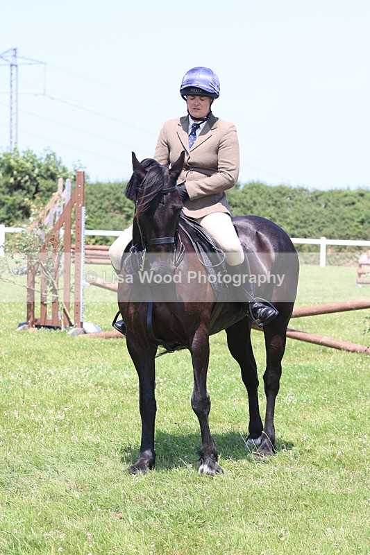 JPP_2746 - Class 21: Working Hunter 60cm