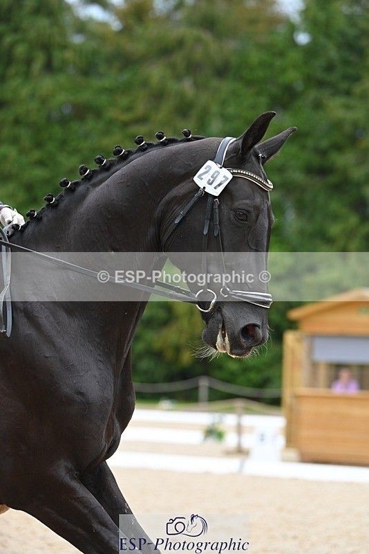 230813-170416-08551 - Cls 14 Medium Silver 16.45 to End