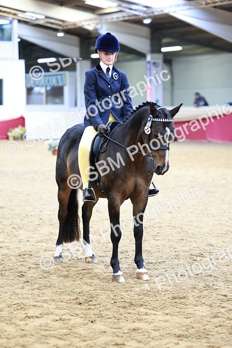 SBM_23832 - Class 905 - Supreme Final - Ridden Veteran