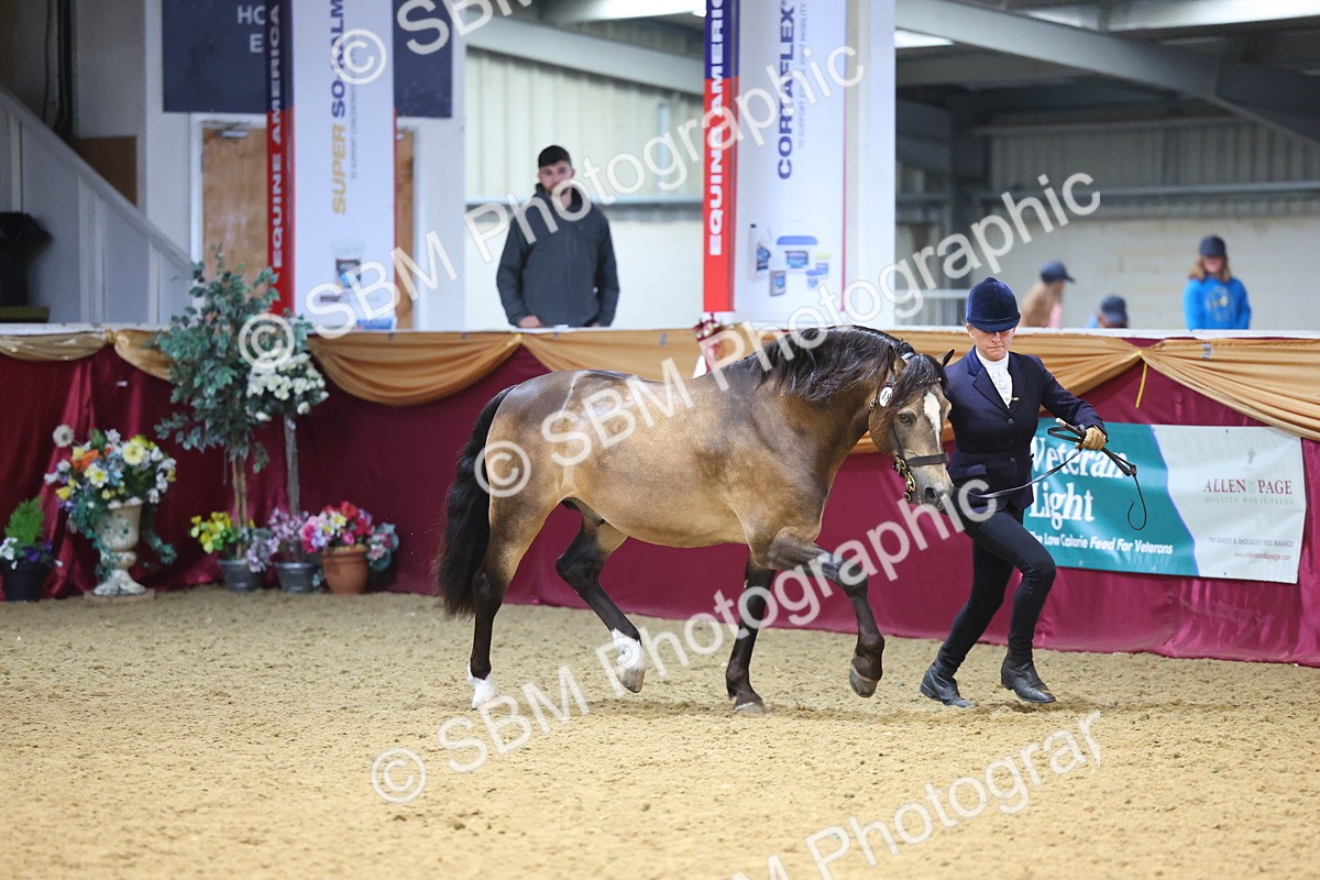 SBM_22672 - Class 903 - Supreme Final - IH Pre Vet