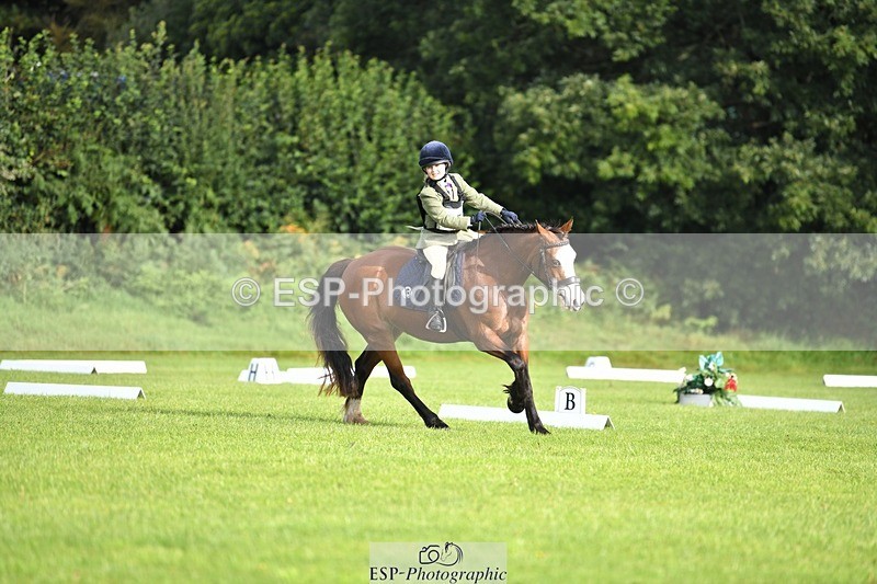 230826-090547-15028 - Sections C & D 9 to 10am