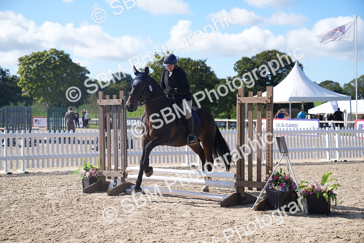 SBM_02408 - J54 Clear Round 45cm