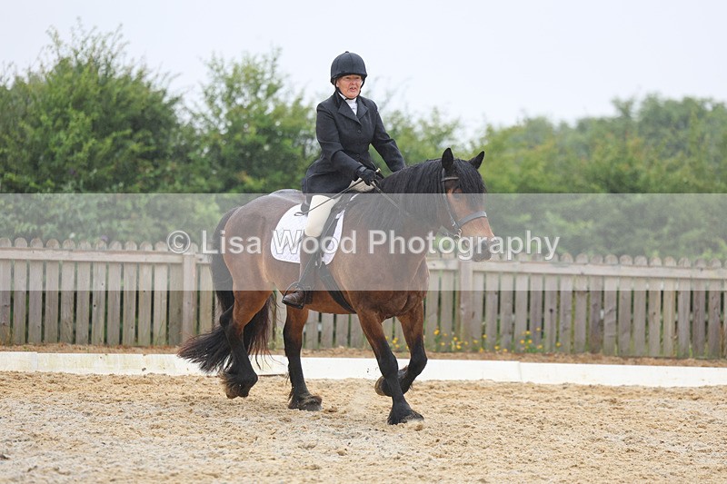 3E7A8477 - Class 2: Intro 3 2024 section B