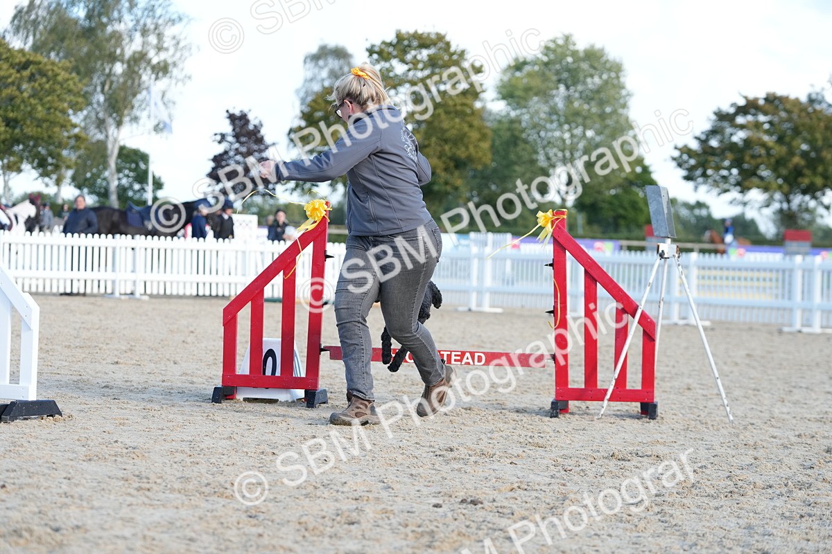 SBM_29007 - J43 - Horse & Hound Open 50cm