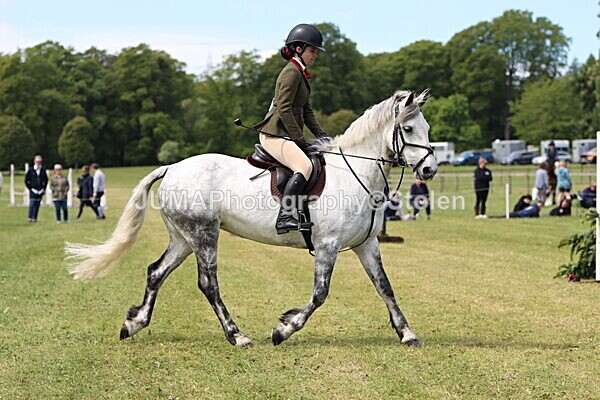 IMG_3419 - Working Hunter