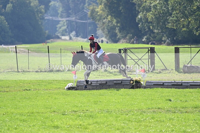 WJ7_4888 - 60cm Time 11:11 to 11:19