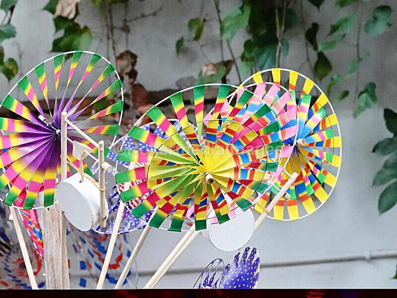 CHINA__0028 - China 2019