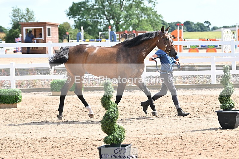 240717A-152229-02795 - Trot Up 3pm to 4pm