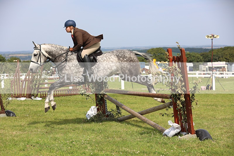JPP_3998 - Class 24: Working Hunter 90cm