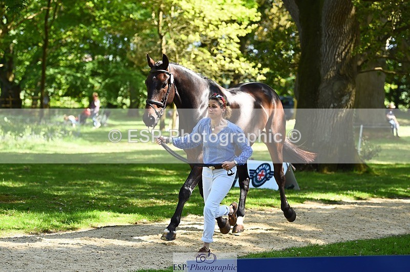 230524-152450-00249 - 326-GULLITH-Emily_Lochore-WEDTrotUp+DR