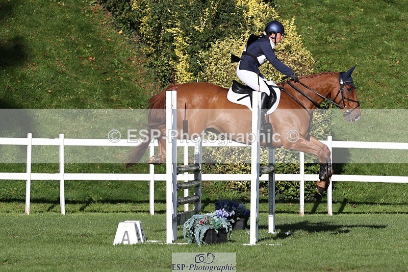 231022-103305-24599 - 656-DUNARD.RED.KNIGHT-Naomi.Watkins-TrotUp+SJ