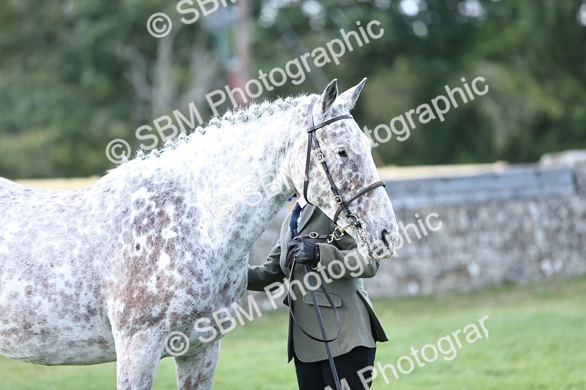SBM_26248 - S5 - Novice & Newcomers In Hand