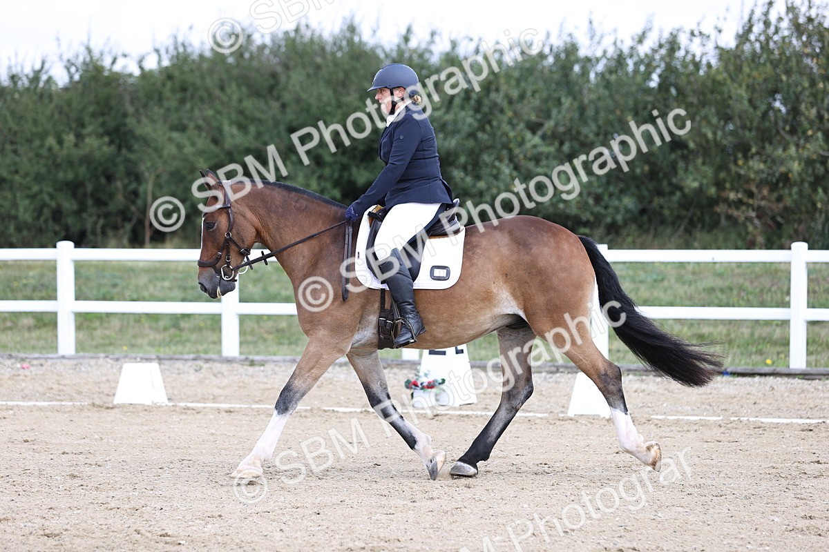 SBM_016219 - Class 14 - Novice 23 - 10.29-11.32