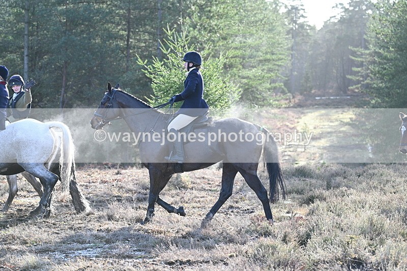 WJ7_7233 - Line 3 (no line 4 or 5)