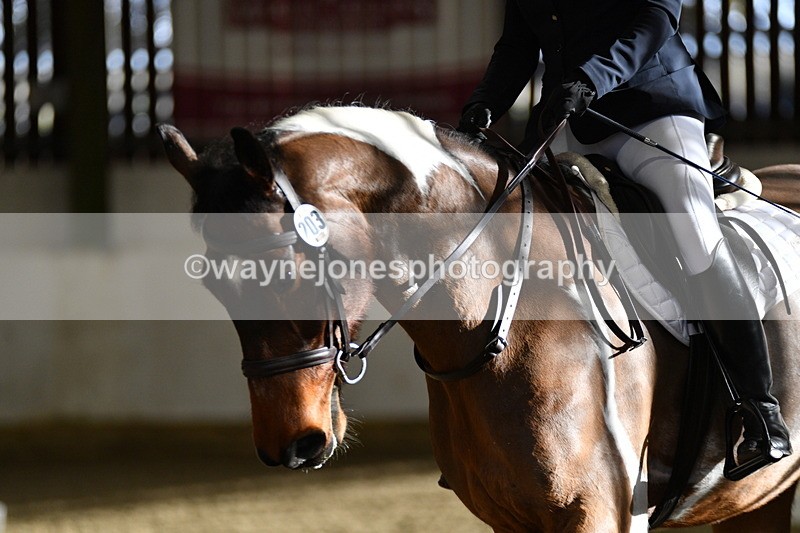 WJ5_2118 - Time 11:12 to 11:55