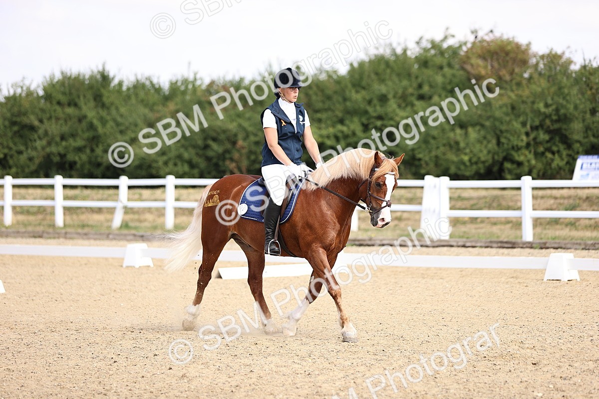 SBM_006566 - Intro 3 - 9.46-10.46