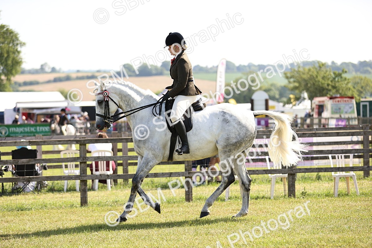 SBM_12902 - Class 75-76 LIHS BSHA Rising Star Hack Riding Horse