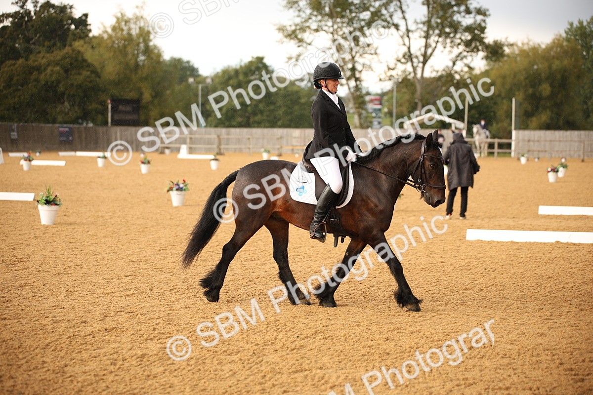 SBM_12395 - D3 Small  Tour Championship Intro A