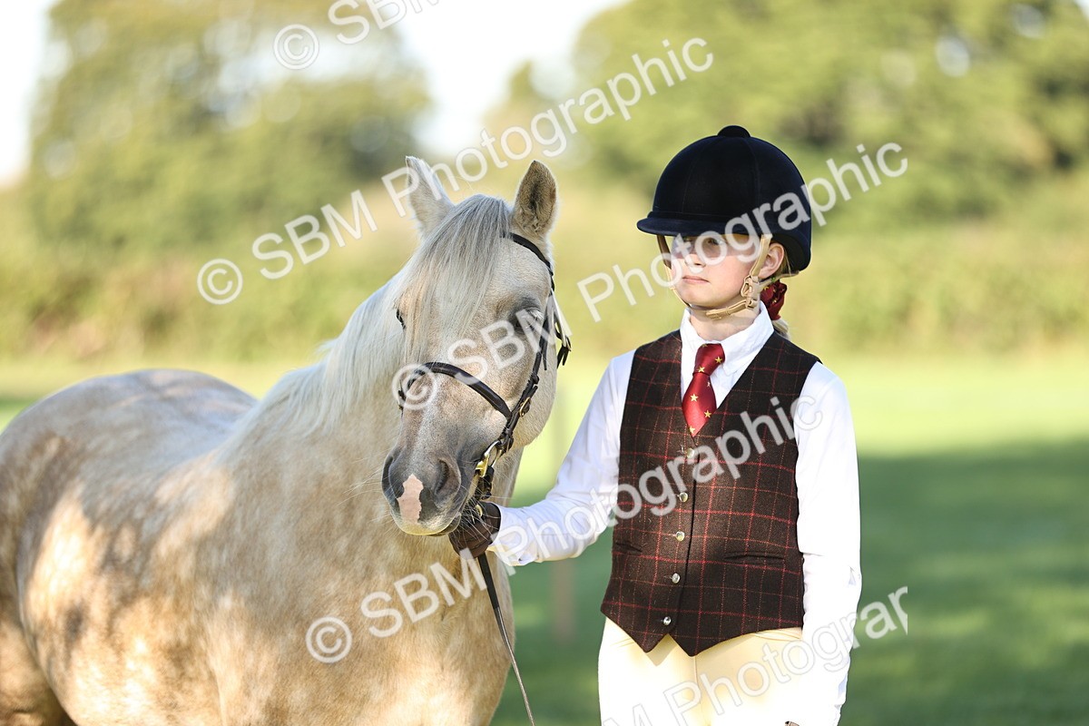 SBM_15819 - S1 - TSR in Hand Horse & Pony Showing