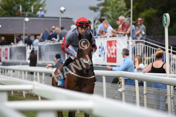 yr04092022r1-15 - Race 1 1.45pm IRE Incentive, It Pays To Buy Irish EBF Novice Stakes