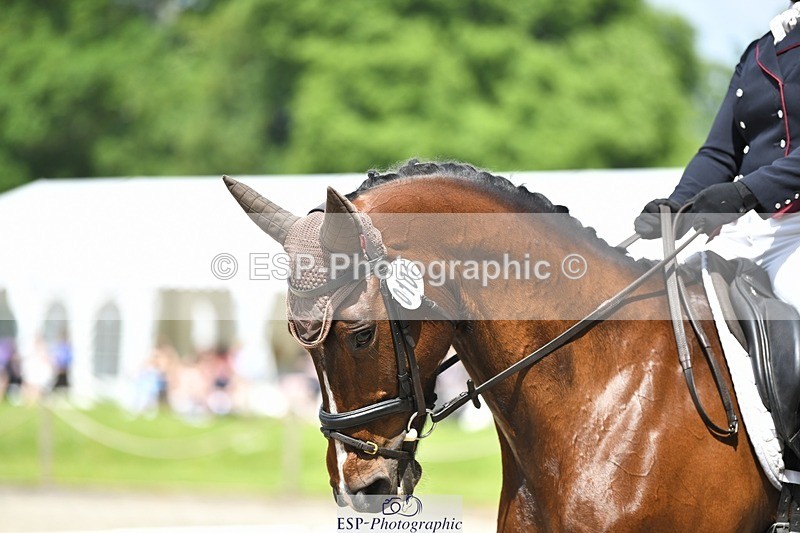 230525-113040-01843 - 101-INTERFIELDS_ABOUDDI-Saffron_Cresswell-WEDTrotUp+DR