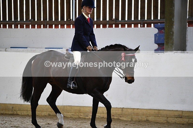 WJ5_7839 - Class 13 Ridden Part Breed