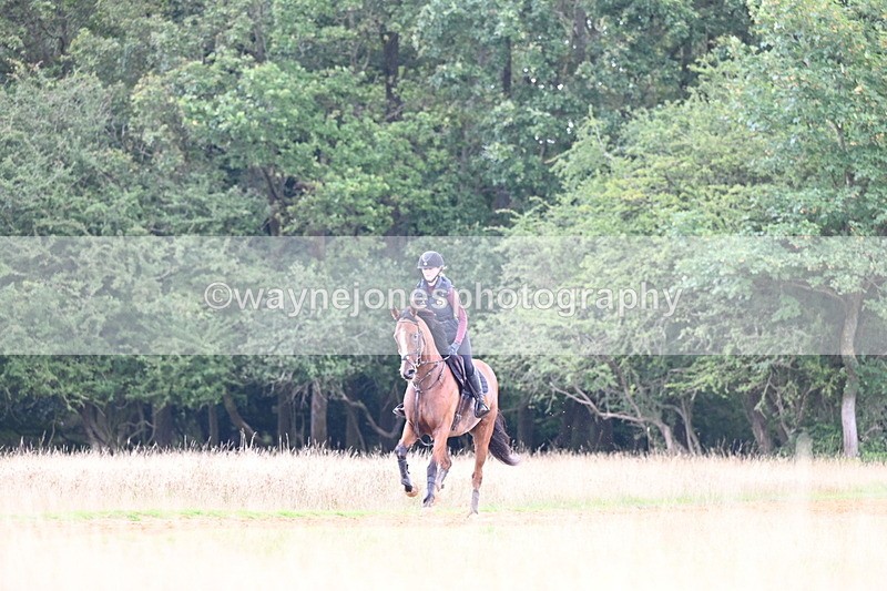 DSC_7363 - Time at Statue 13:16 to 13:52