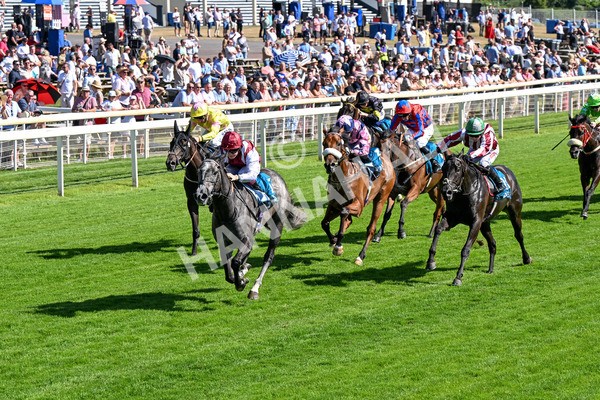 110725-Race 5-Mahras Love-0419 - Race 5 4.32pm Laura Barry Memorial Handicap