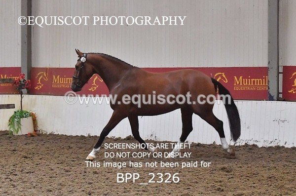 BPP_2326 - AFTERNOON 12.30 - 3.30PM