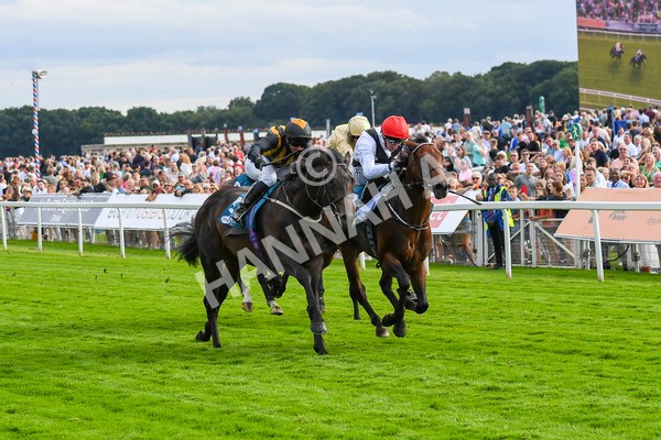 280723-Race 3-Loose Cannon-0296 - Race 3 6.05pm Ire-Incentive, It Pays To Buy Irish EBF Restricted Novice Stakes