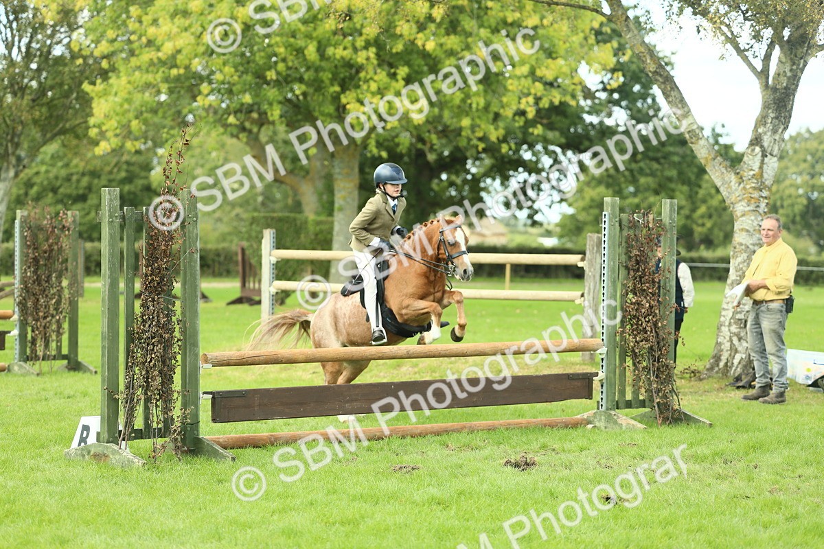 SBM_44685 - S31 - Working Hunter Pony