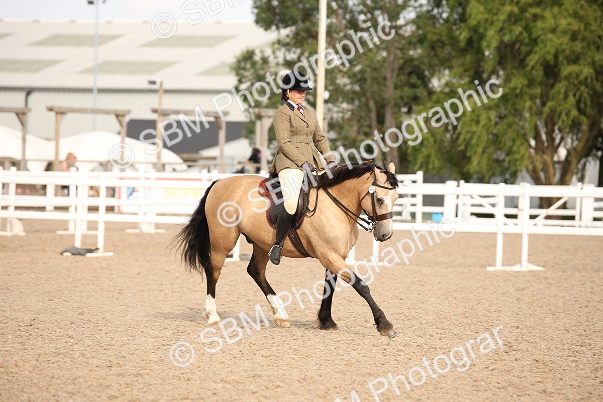 SBM_08814 - Class 12R Regional Ridden Pre-Vet