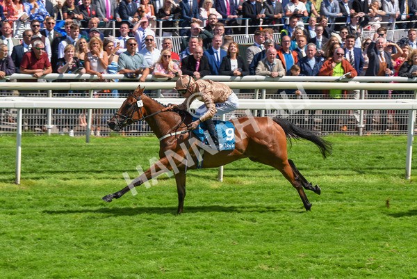 150723-Race 2-Nymphadora-8613 - Race 2 2.35pm John Smith's City Walls Stakes