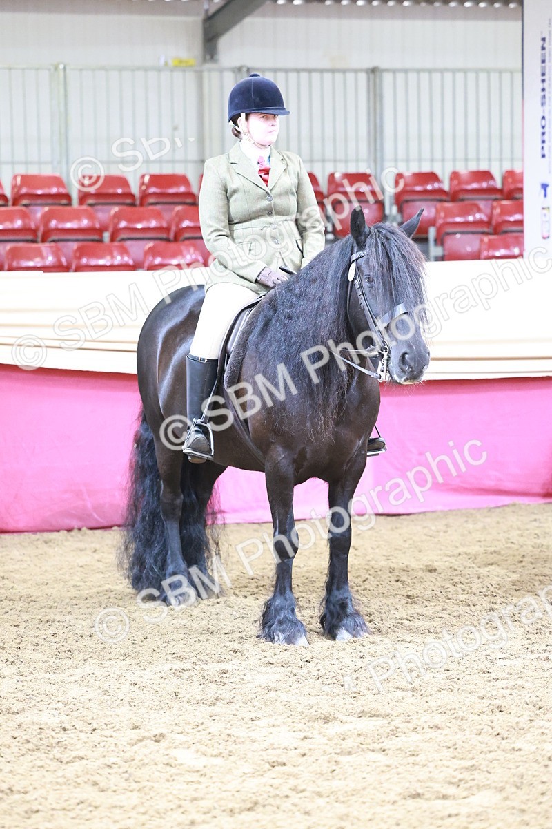 SBM_11889 - Class 102 - Equitation (Best Rider) Adult