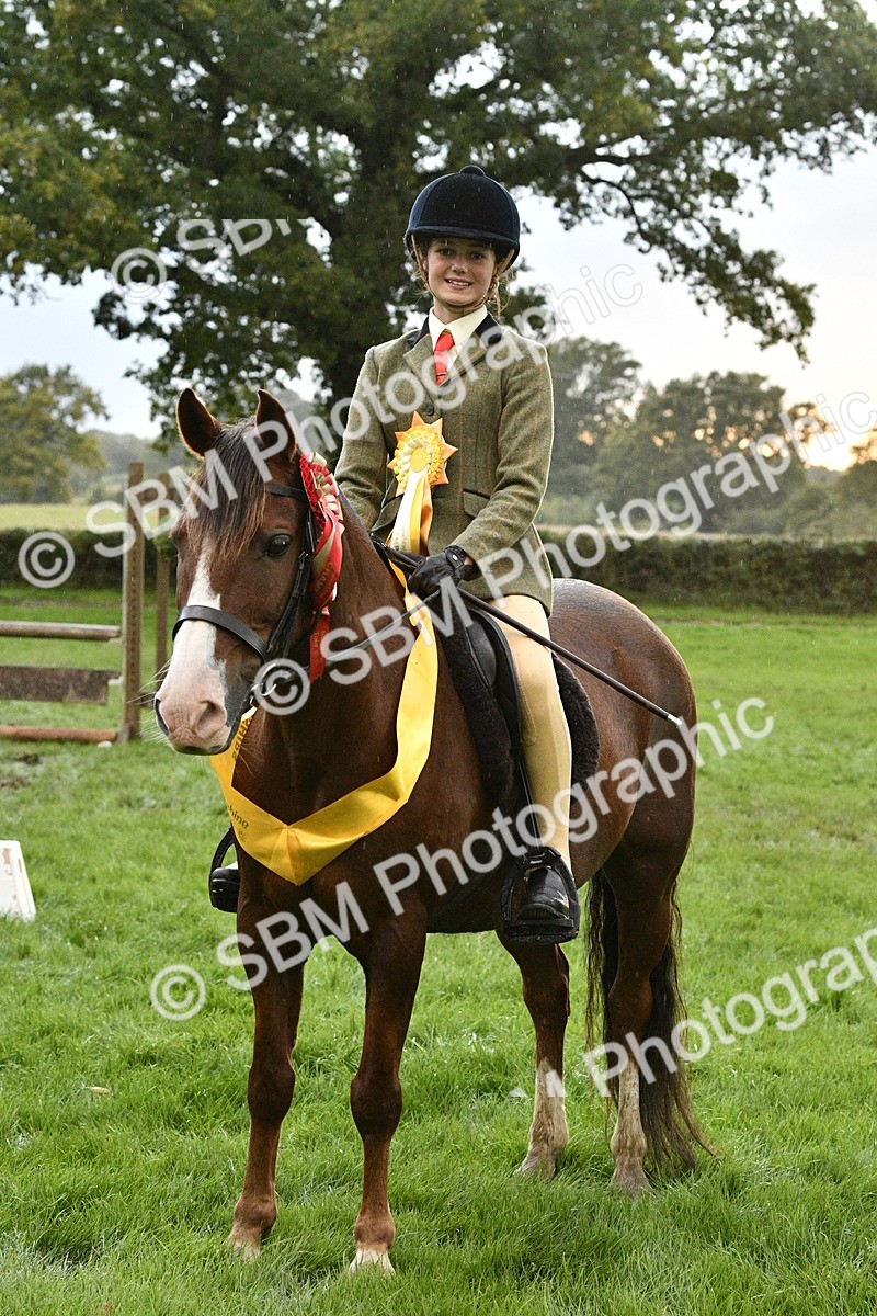 SBM_53366 - S14 - Riding Club Horse