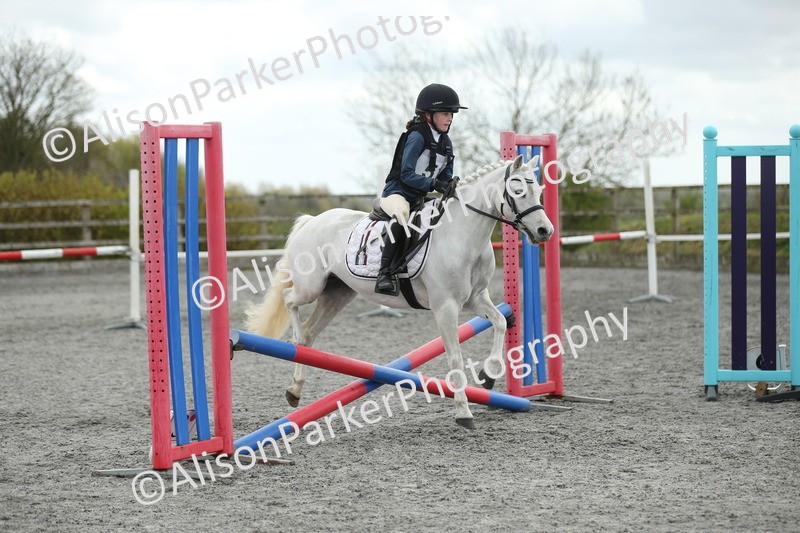 20260412-0690 - Show Jumping