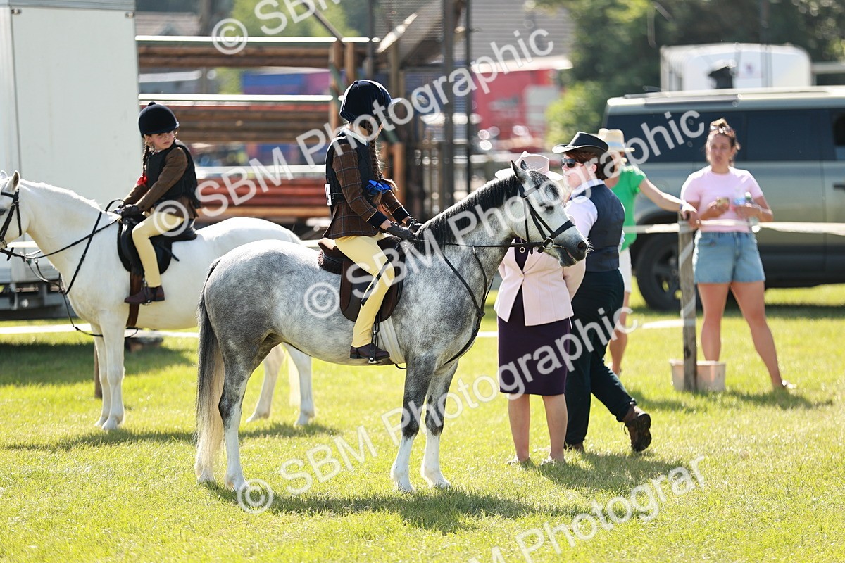 SBM_12644 - Class 106-107 - BSPS LIHS Working Sports Pony