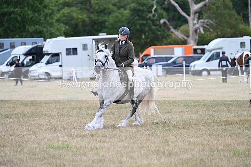 WJ7_5288 - Class 12 Ridden Cob