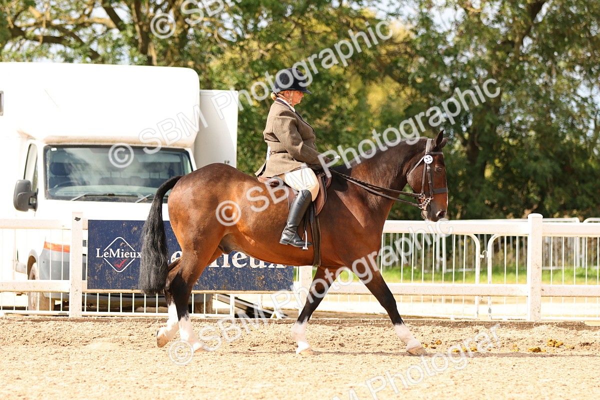 SBM_15454 - Class 214 - Ridden Show Cob